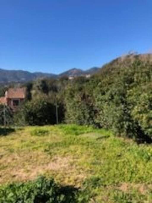 Villa En Corse Du Sud Entre Mer Et Montagne Peri Bagian luar foto